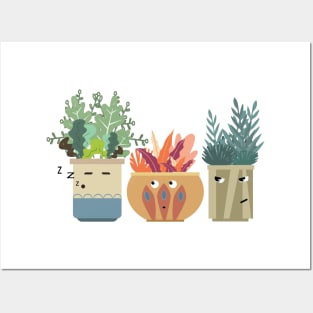 Pot Plants Posters and Art